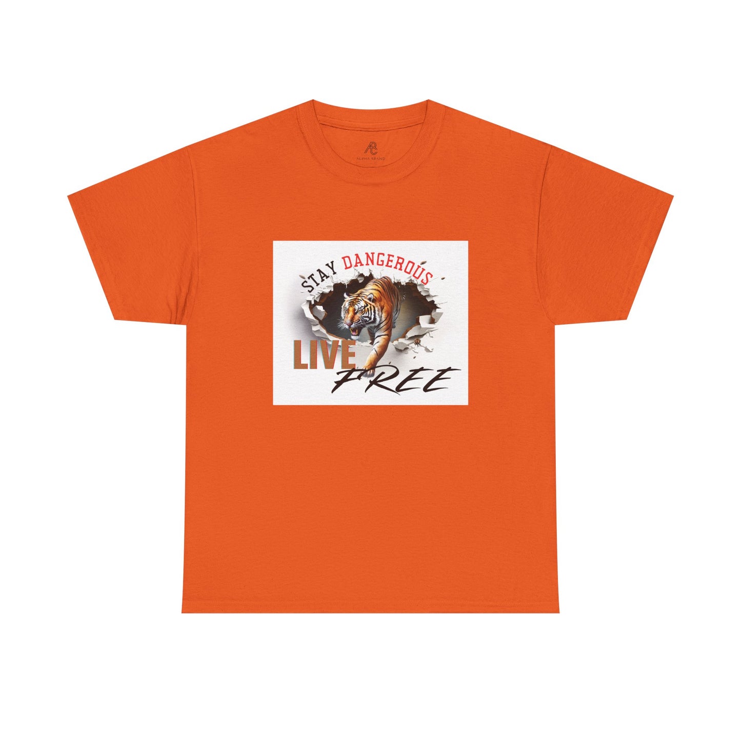 Stay Dangerous Live Free Unisex Classic Tee - Bold Graphic Tee for Adventurers